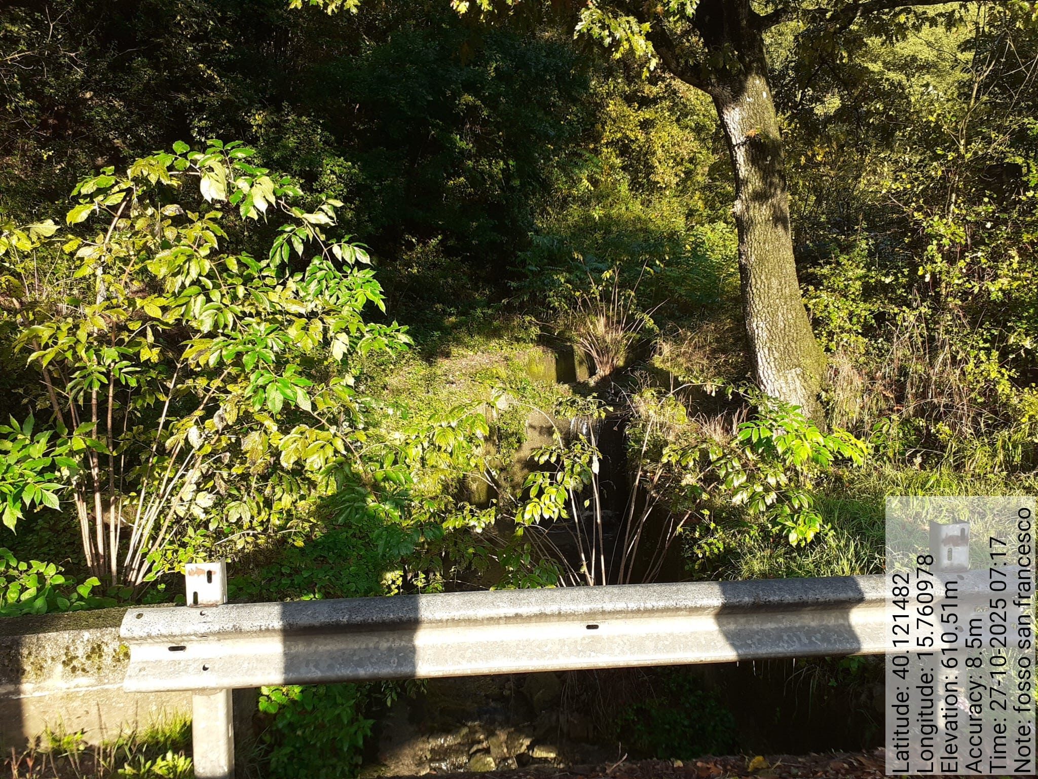 Galleria Fotografica Immagine