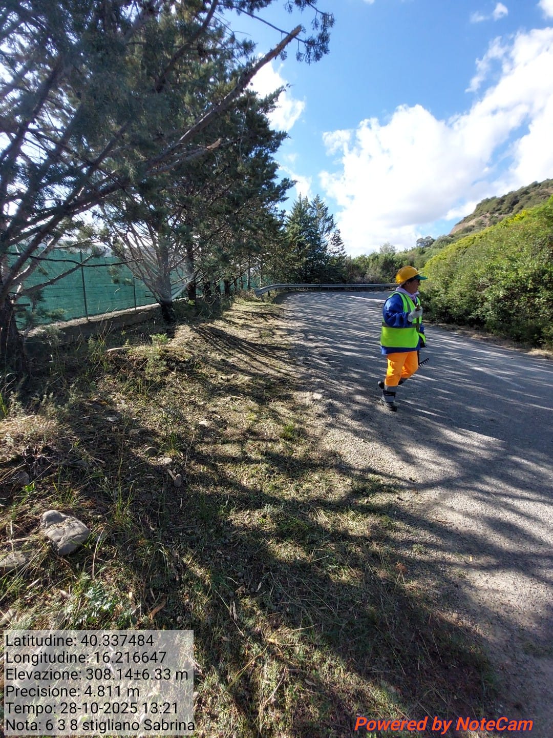 Galleria Fotografica Immagine