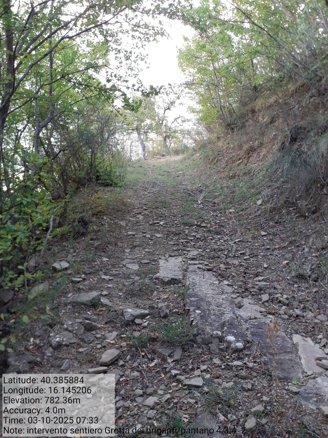 Galleria Fotografica Immagine