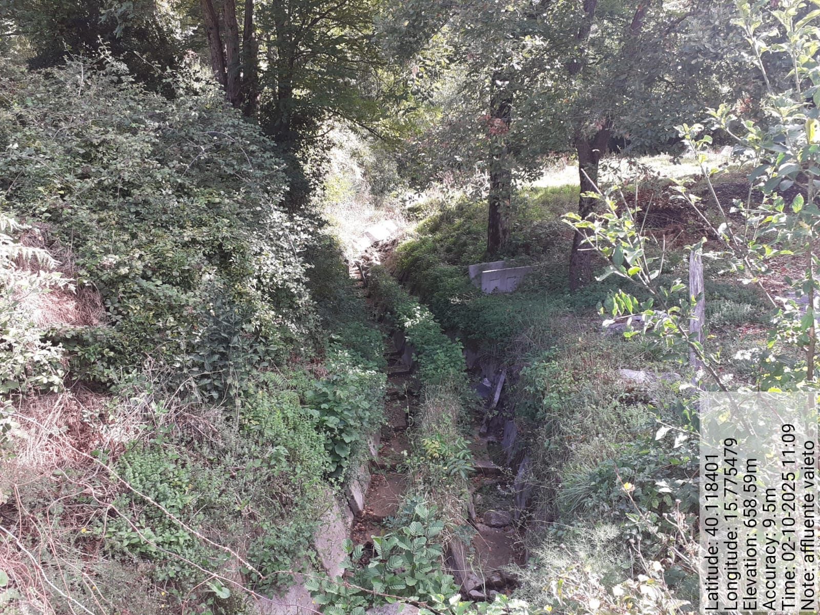 Galleria Fotografica Immagine