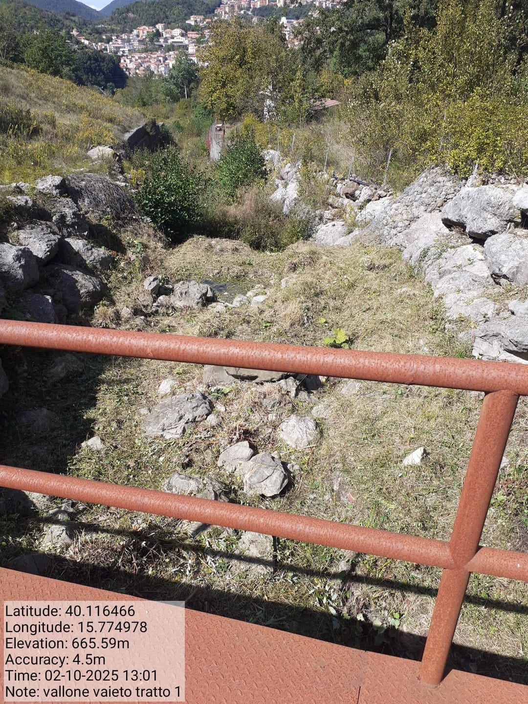 Galleria Fotografica Immagine