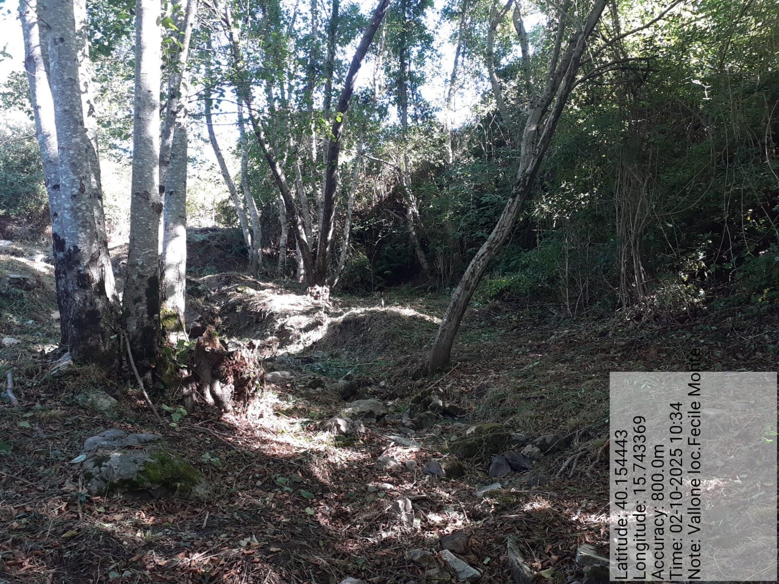 Galleria Fotografica Immagine