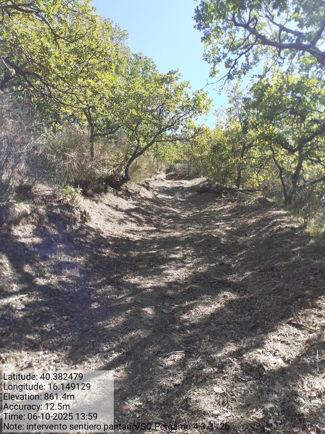 Galleria Fotografica Immagine