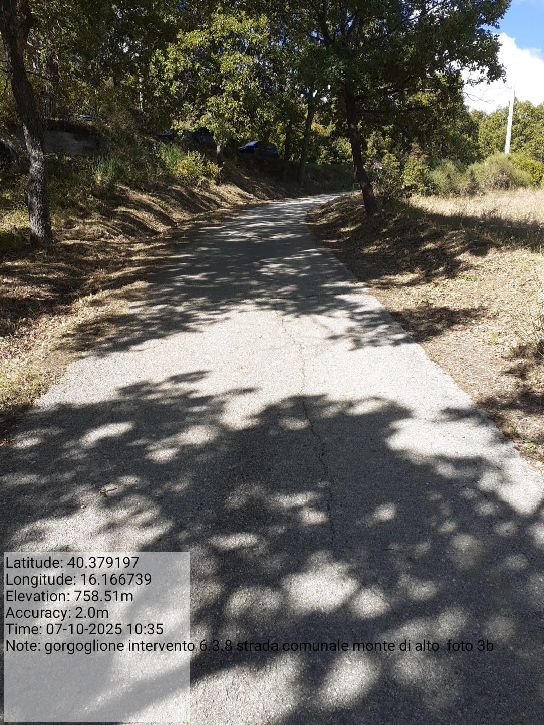 Galleria Fotografica Immagine