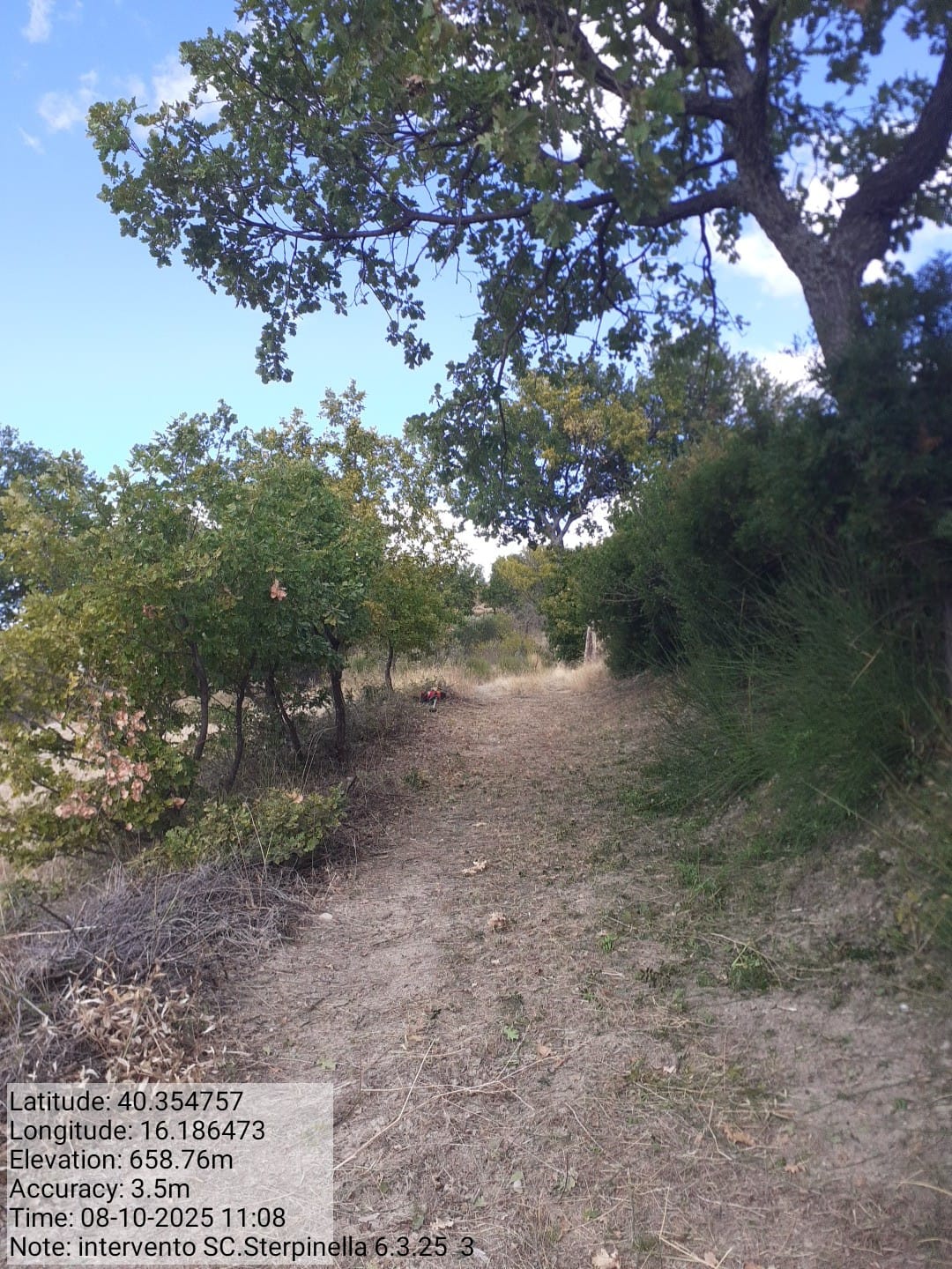 Galleria Fotografica Immagine