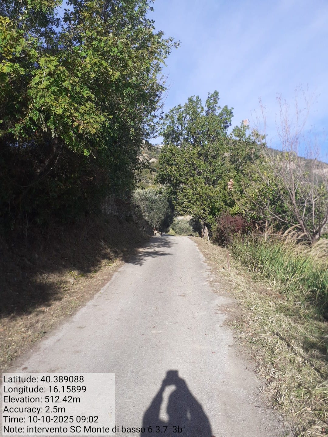 Galleria Fotografica Immagine