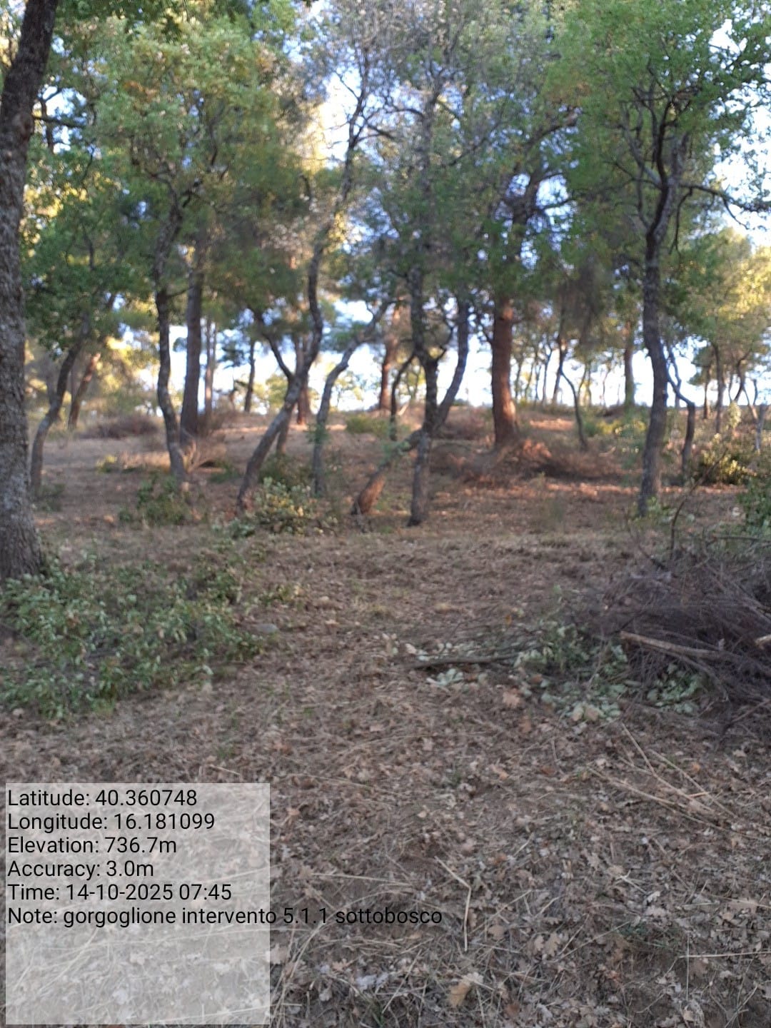 Galleria Fotografica Immagine