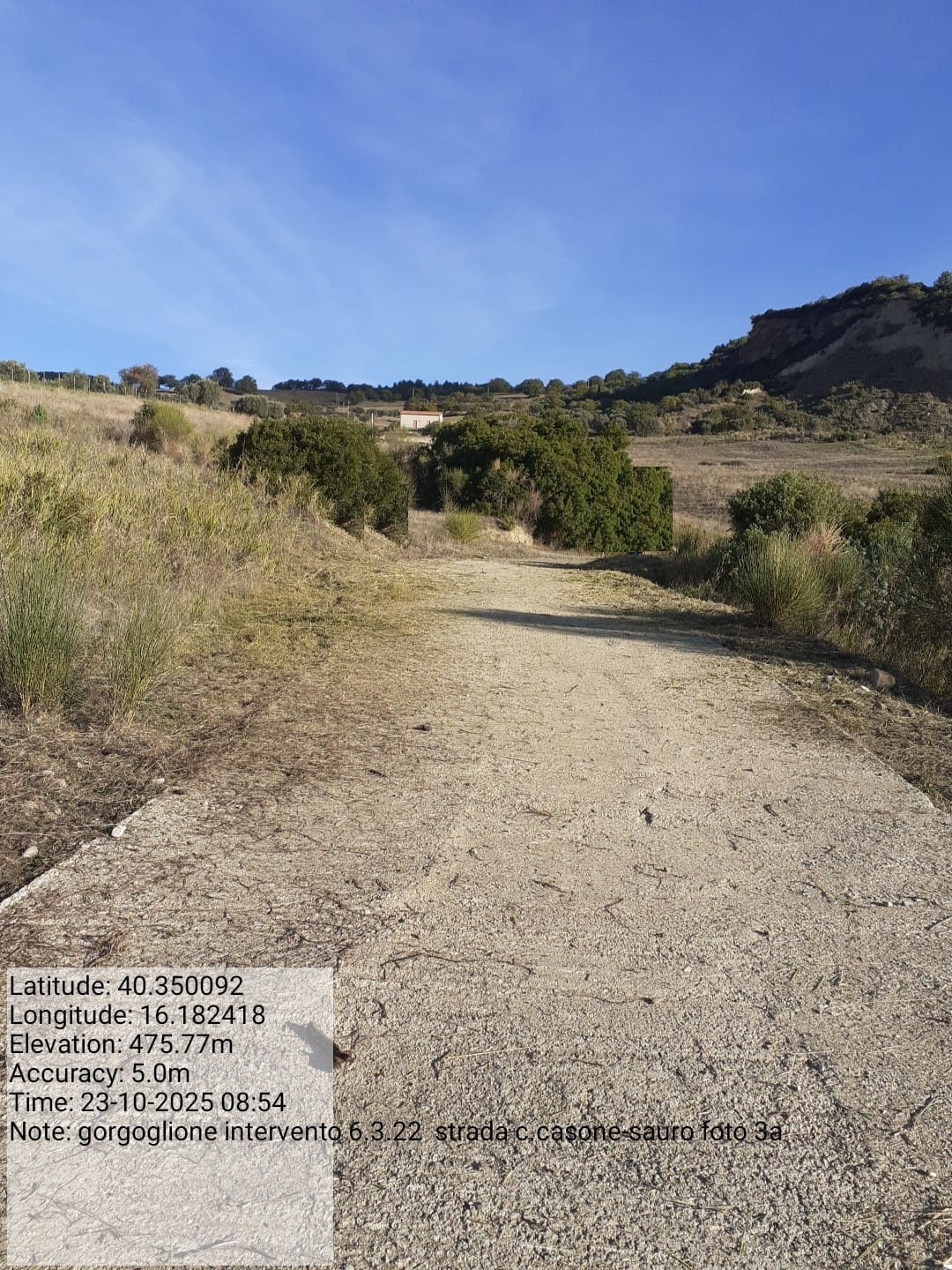 Galleria Fotografica Immagine