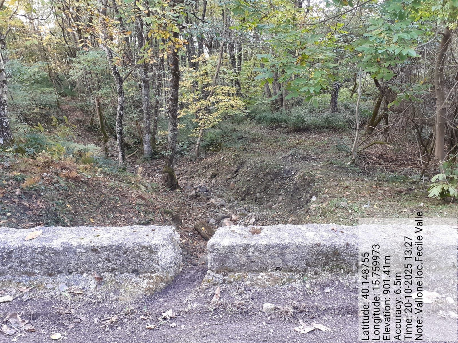 Galleria Fotografica Immagine