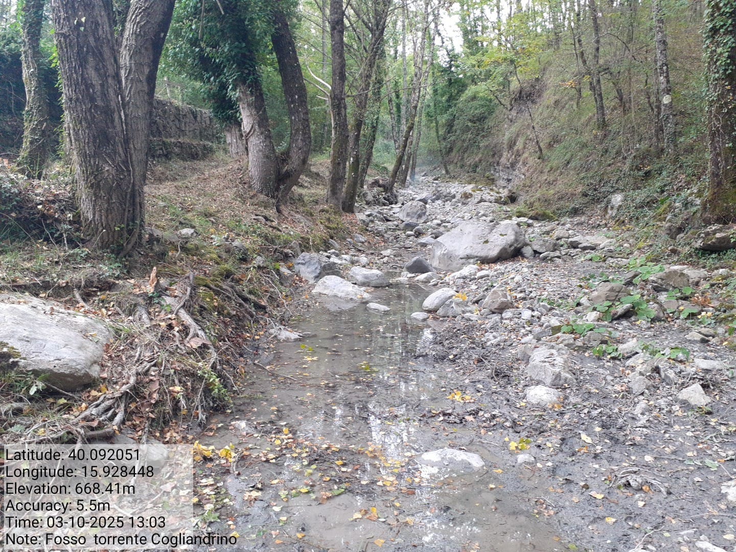 Galleria Fotografica Immagine