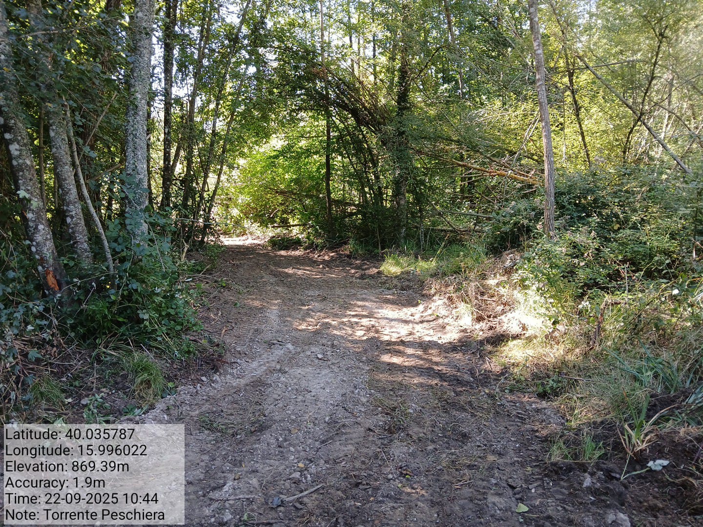 Galleria Fotografica Immagine