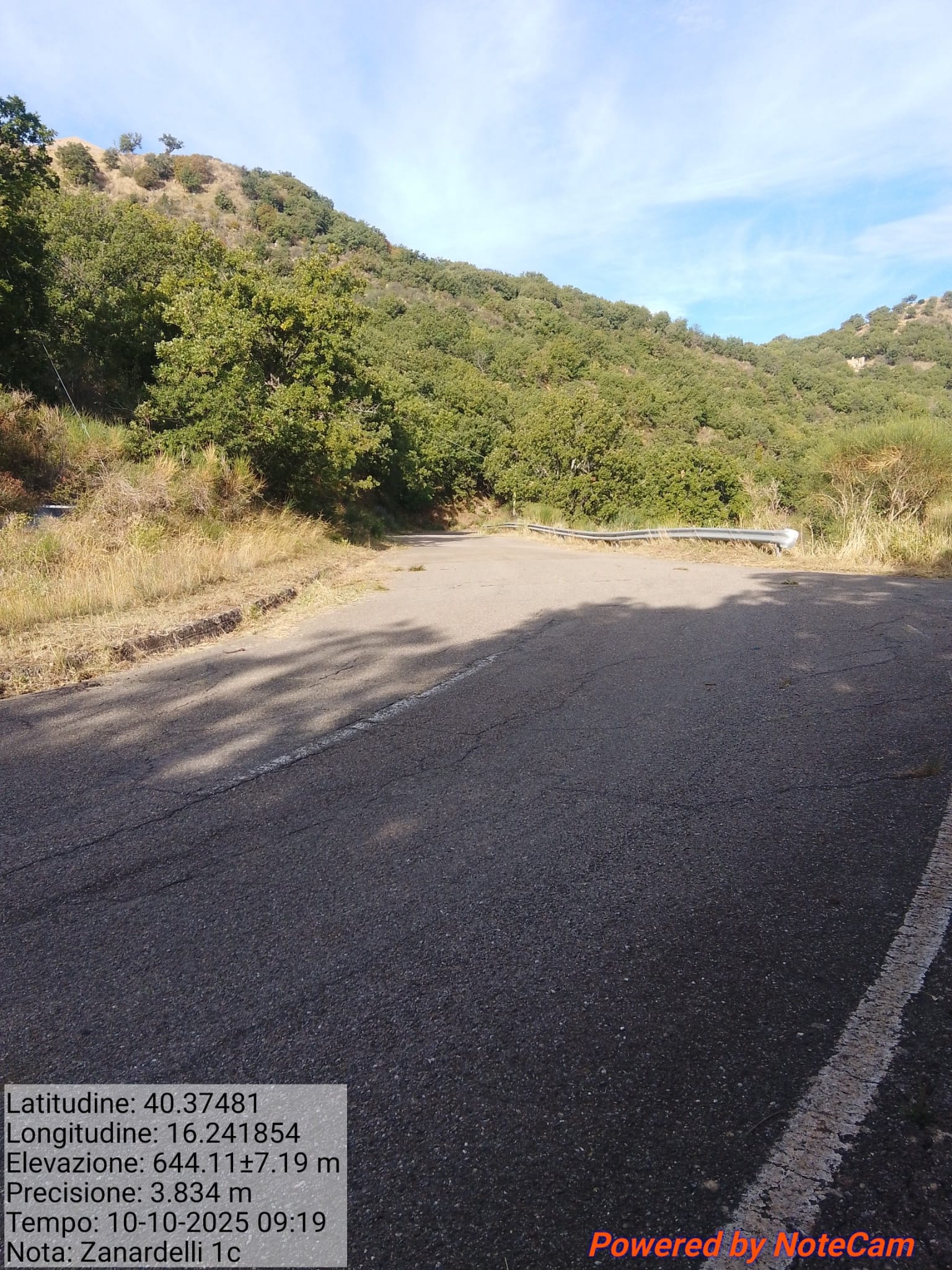 Galleria Fotografica Immagine