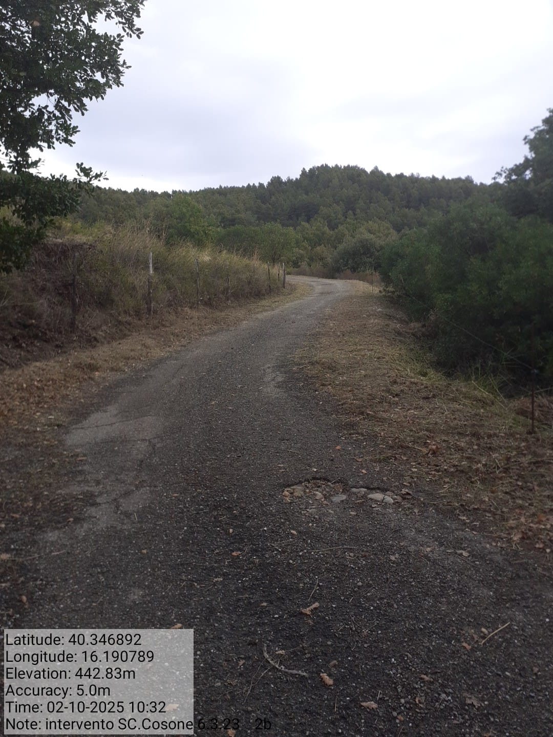 Galleria Fotografica Immagine