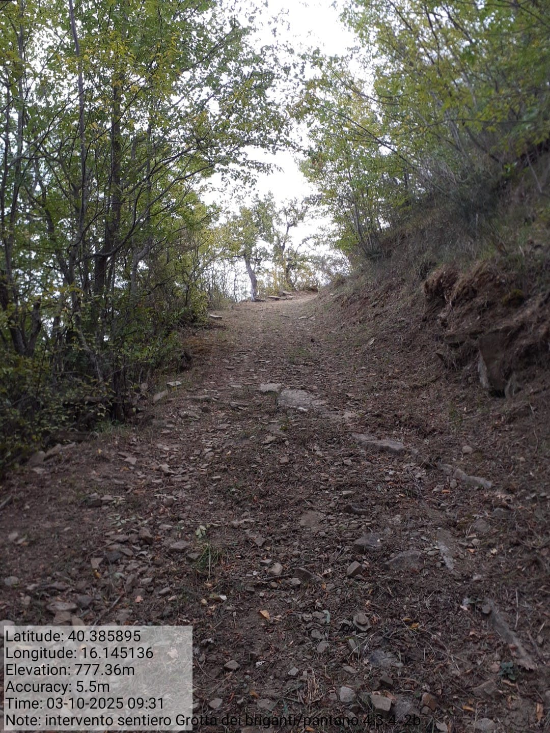 Galleria Fotografica Immagine