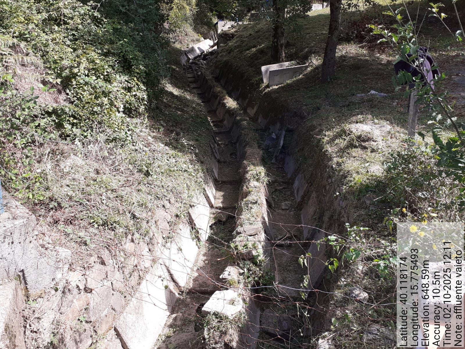 Galleria Fotografica Immagine