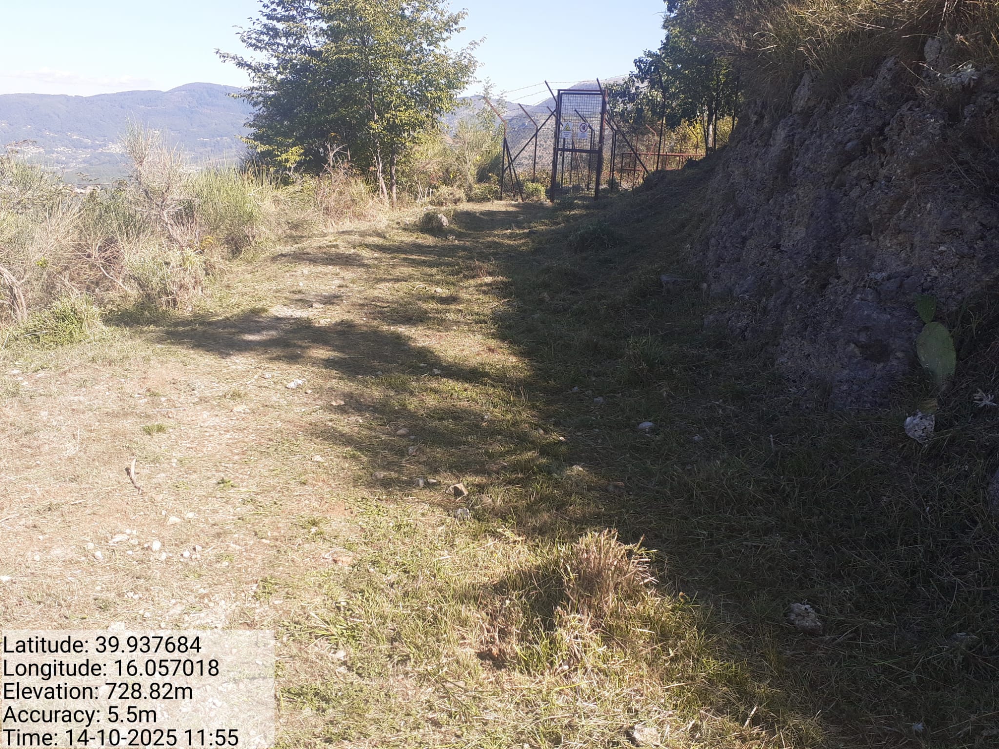 Galleria Fotografica Immagine