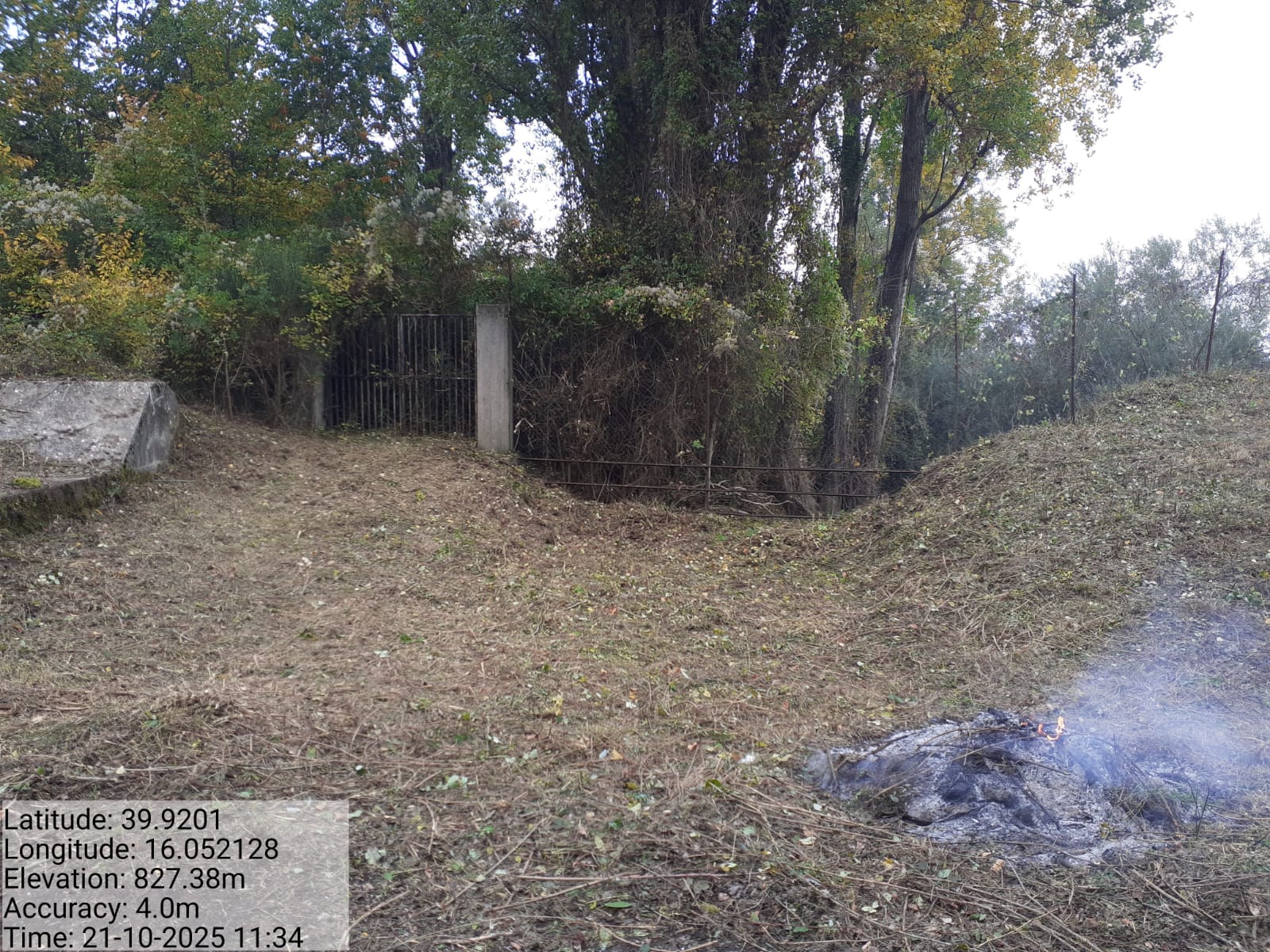 Galleria Fotografica Immagine