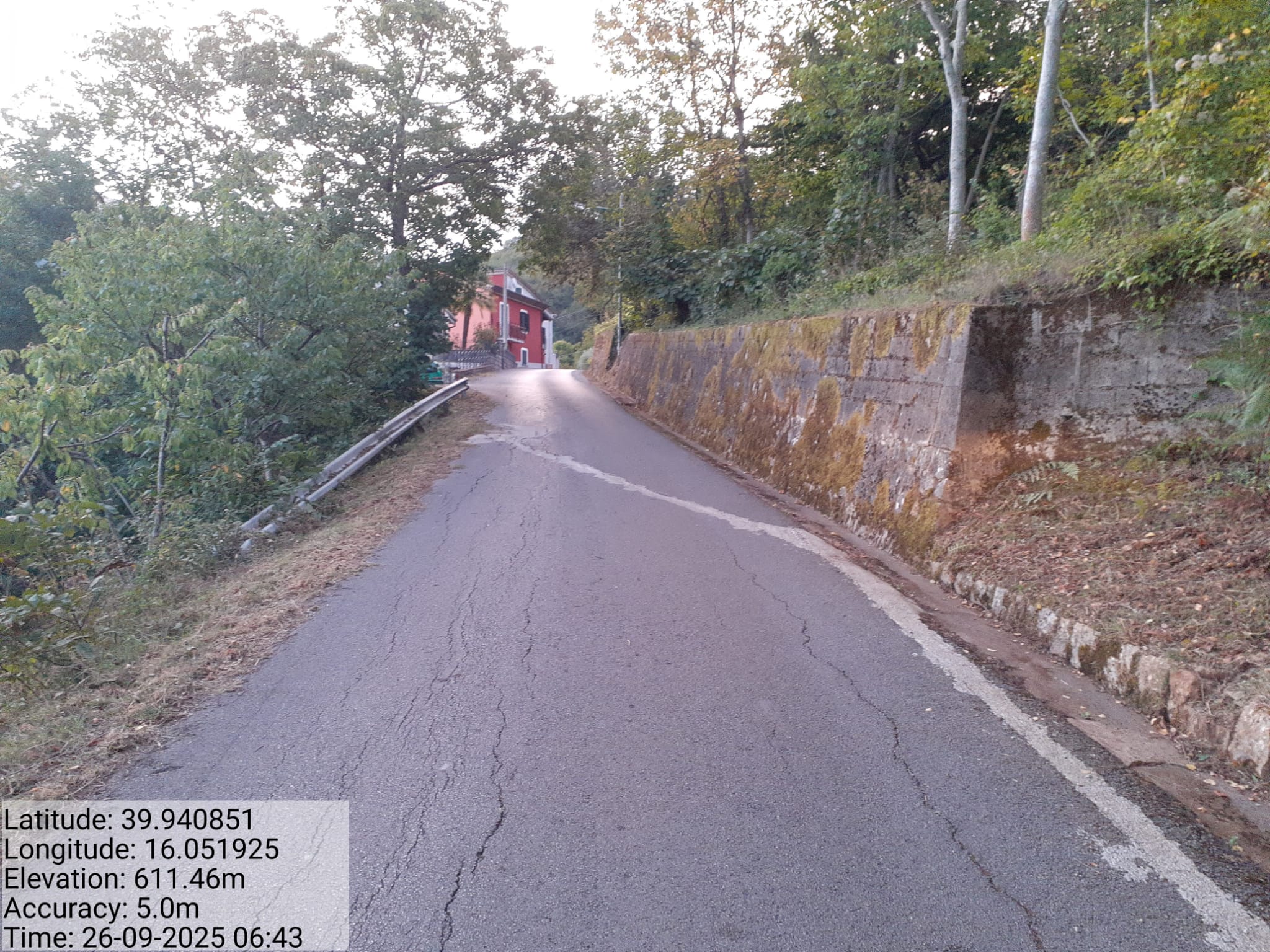 Galleria Fotografica Immagine