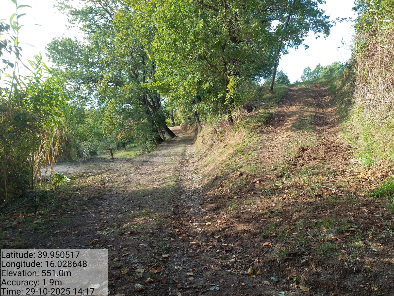 Galleria Fotografica Immagine