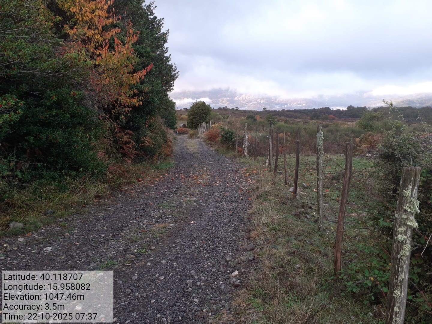 Galleria Fotografica Immagine