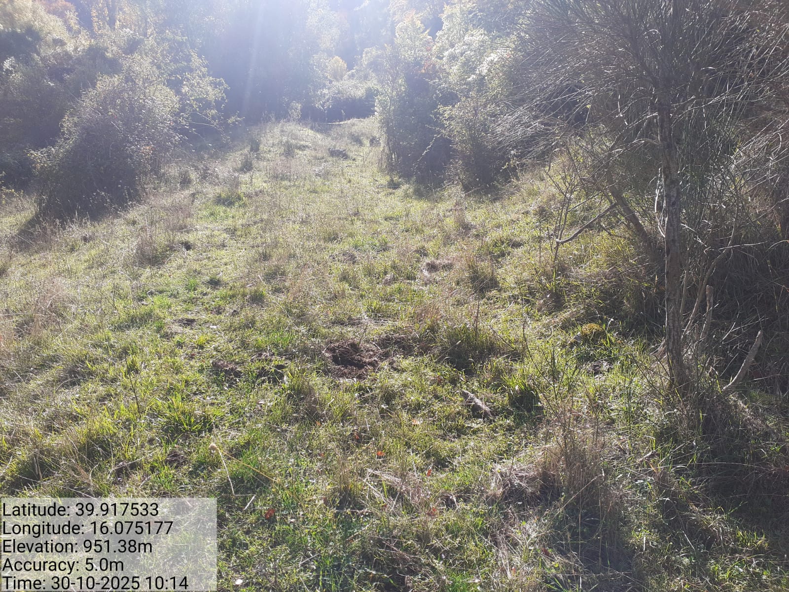 Galleria Fotografica Immagine