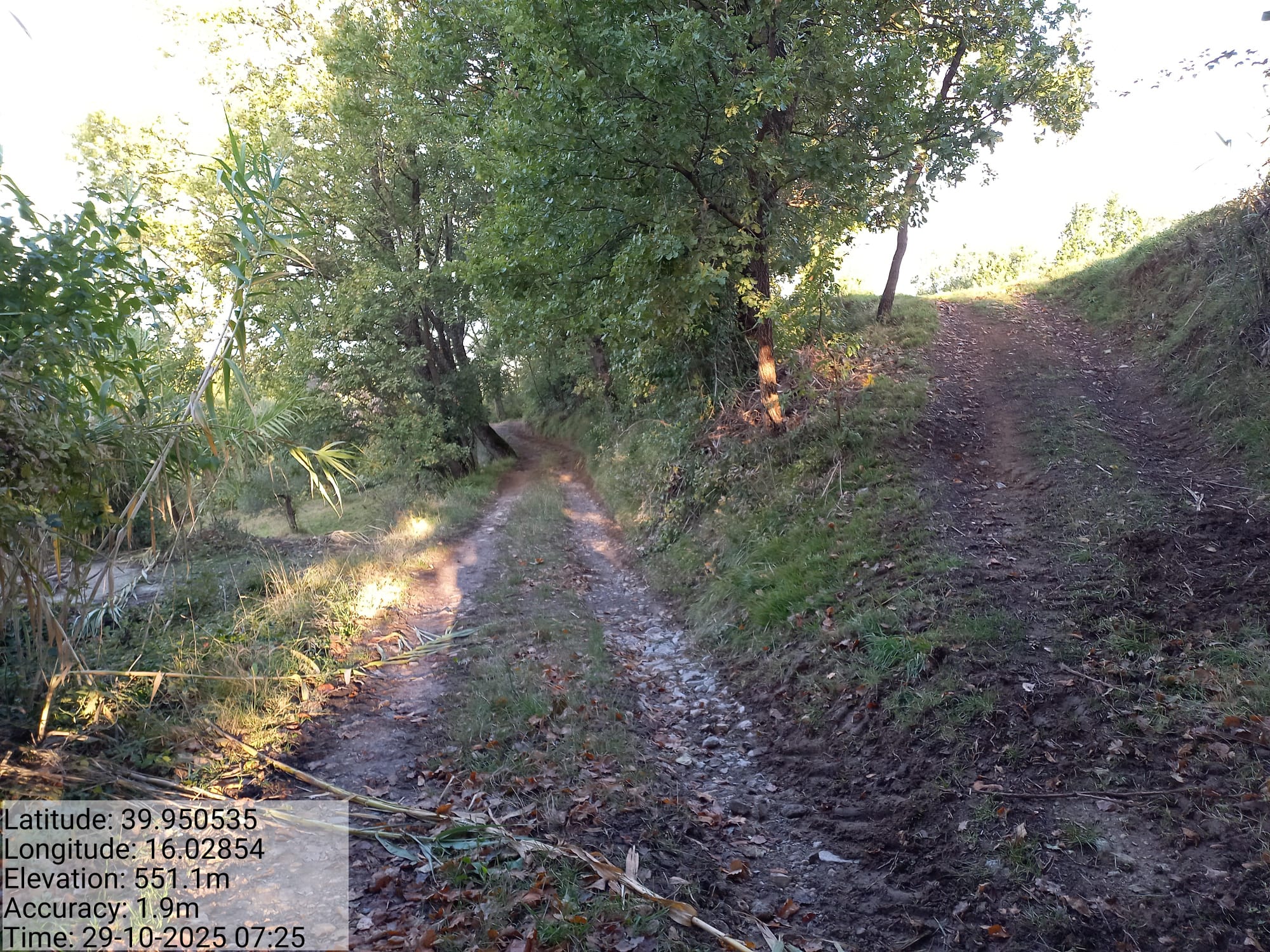 Galleria Fotografica Immagine