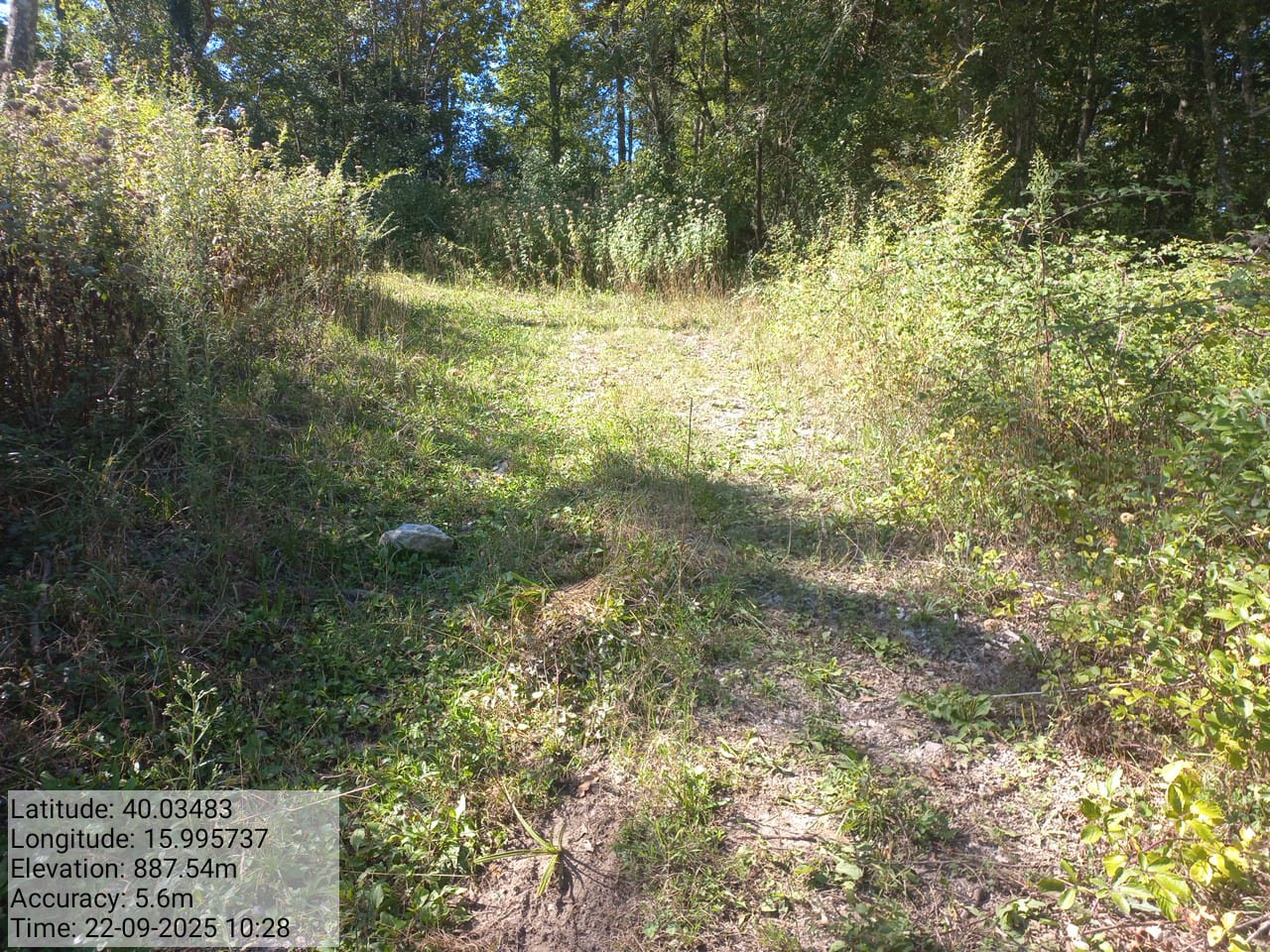 Galleria Fotografica Immagine