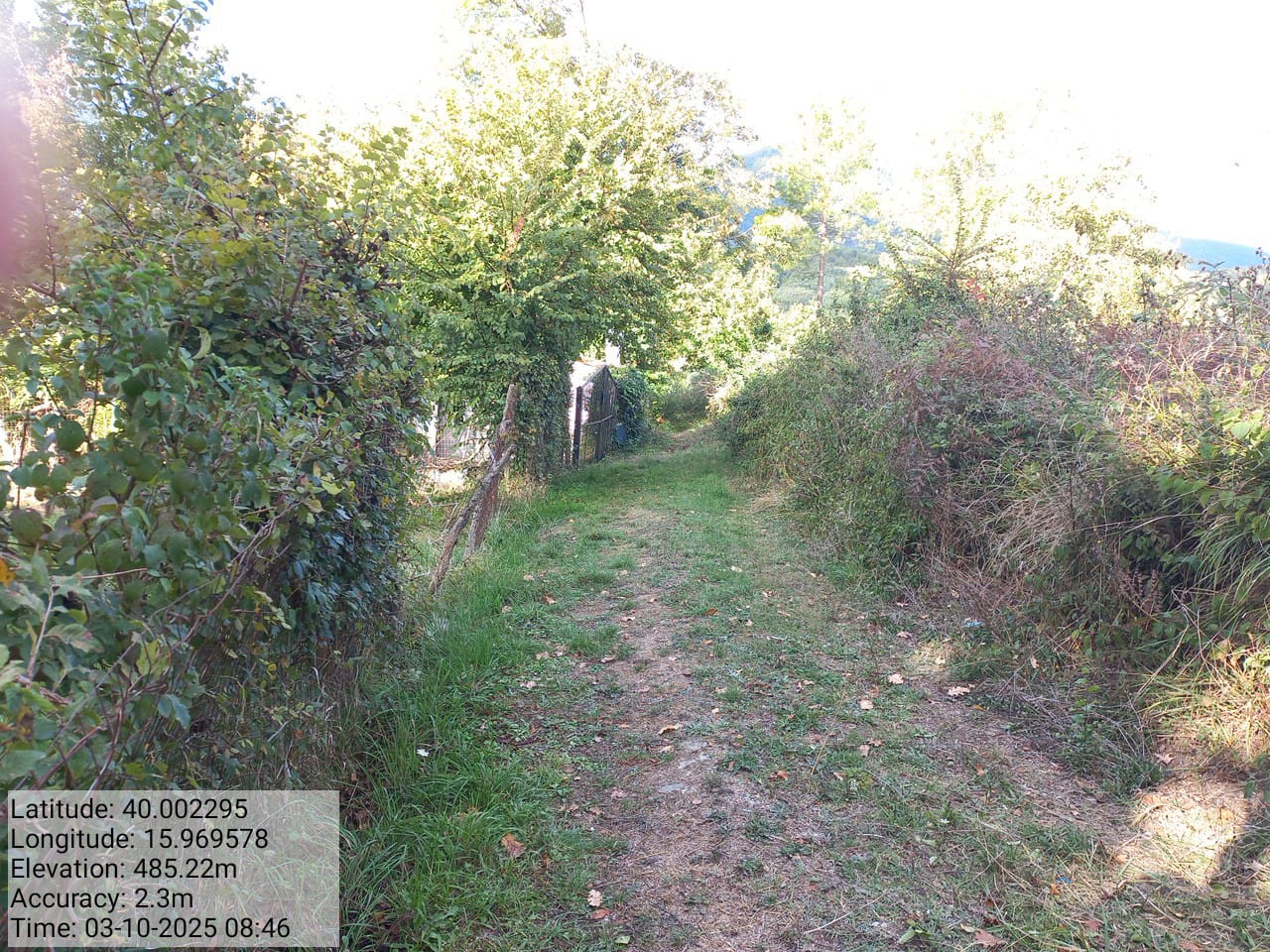 Galleria Fotografica Immagine