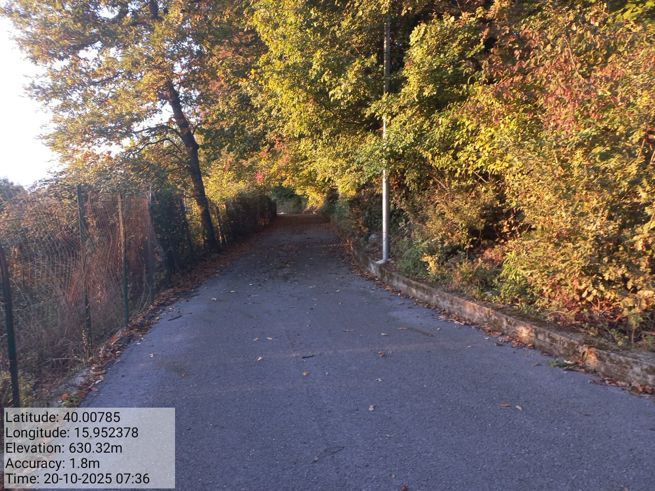 Galleria Fotografica Immagine