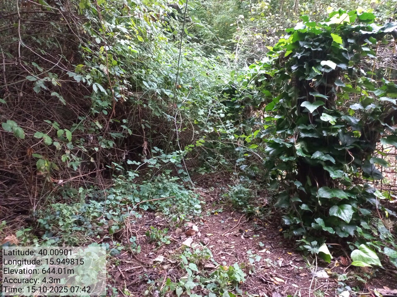 Galleria Fotografica Immagine