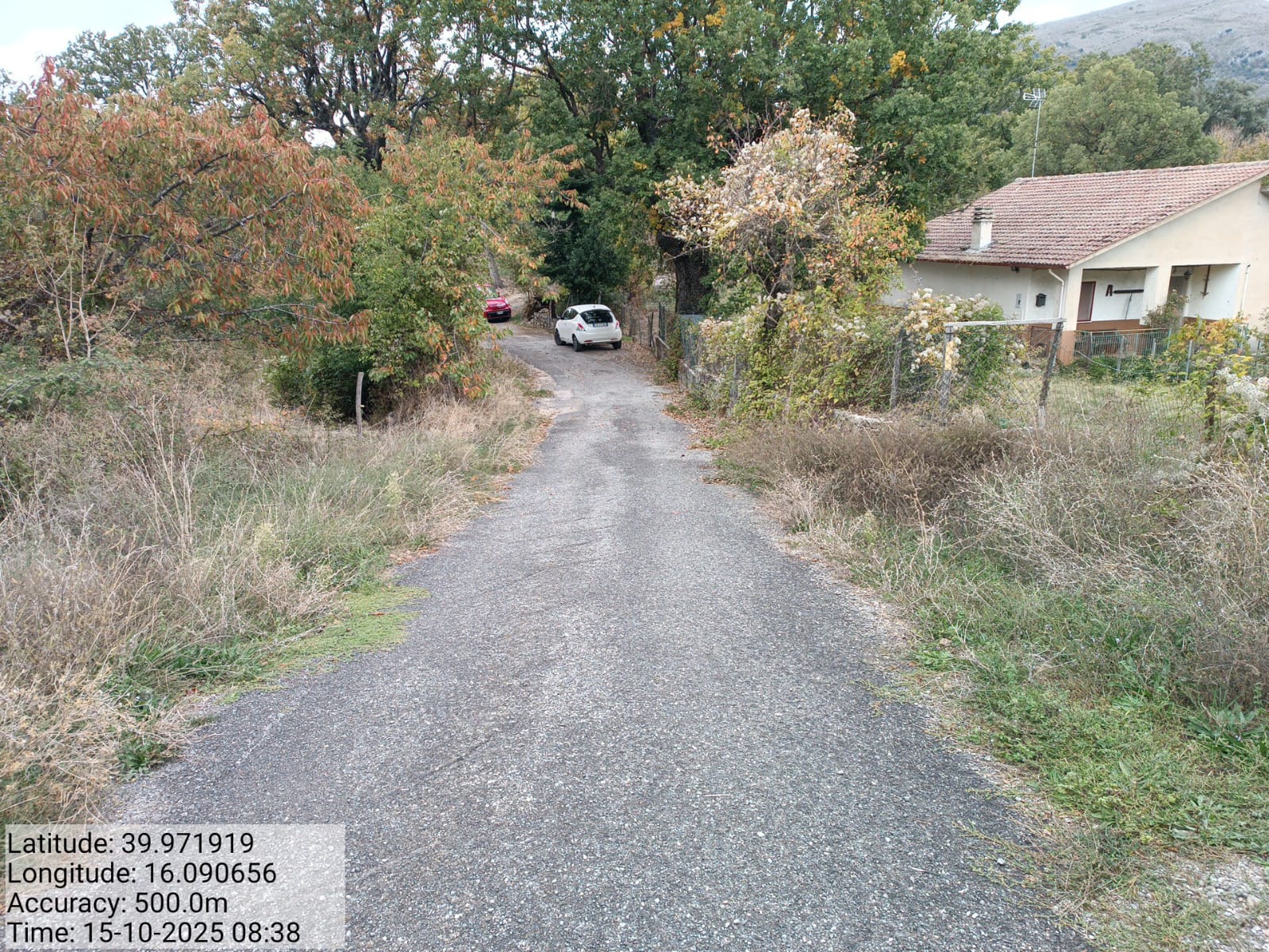 Galleria Fotografica Immagine