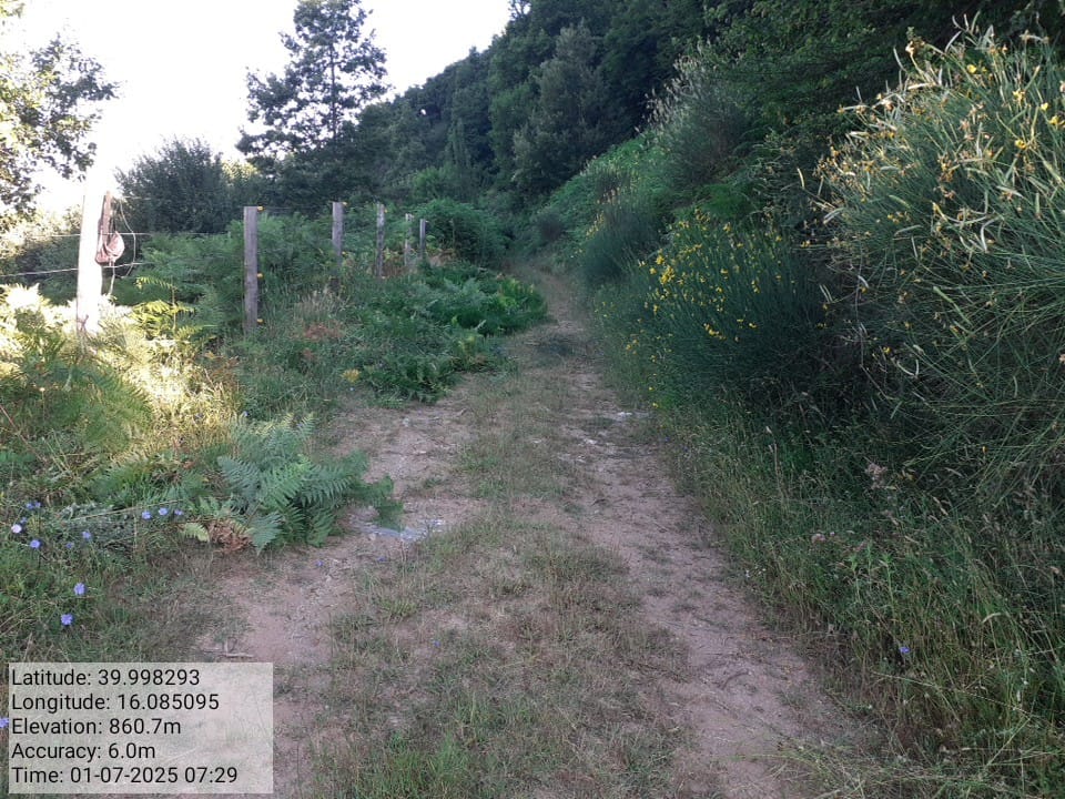 Galleria Fotografica Immagine