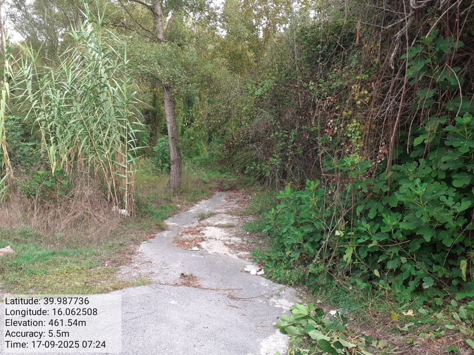 Galleria Fotografica Immagine