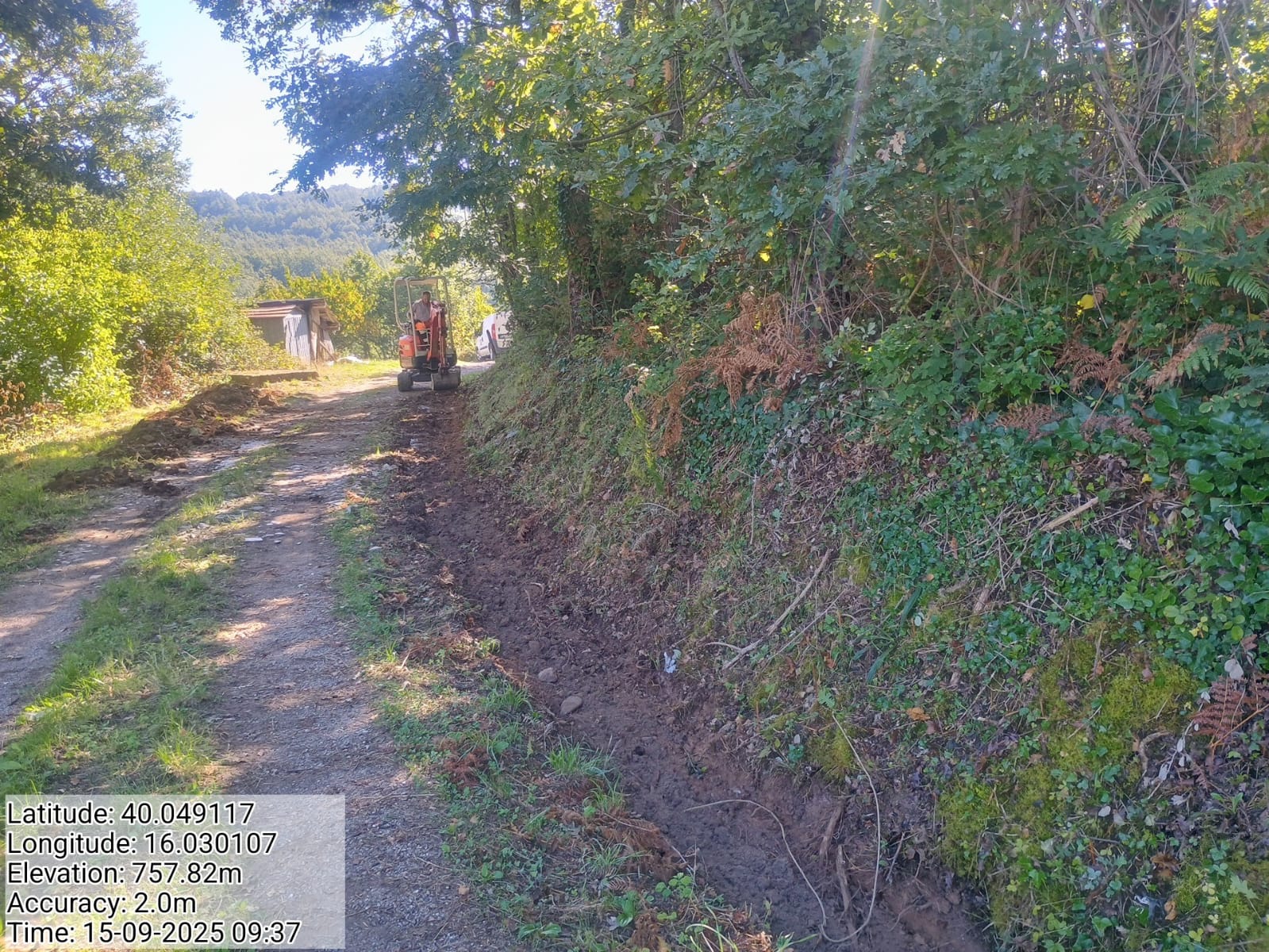 Galleria Fotografica Immagine