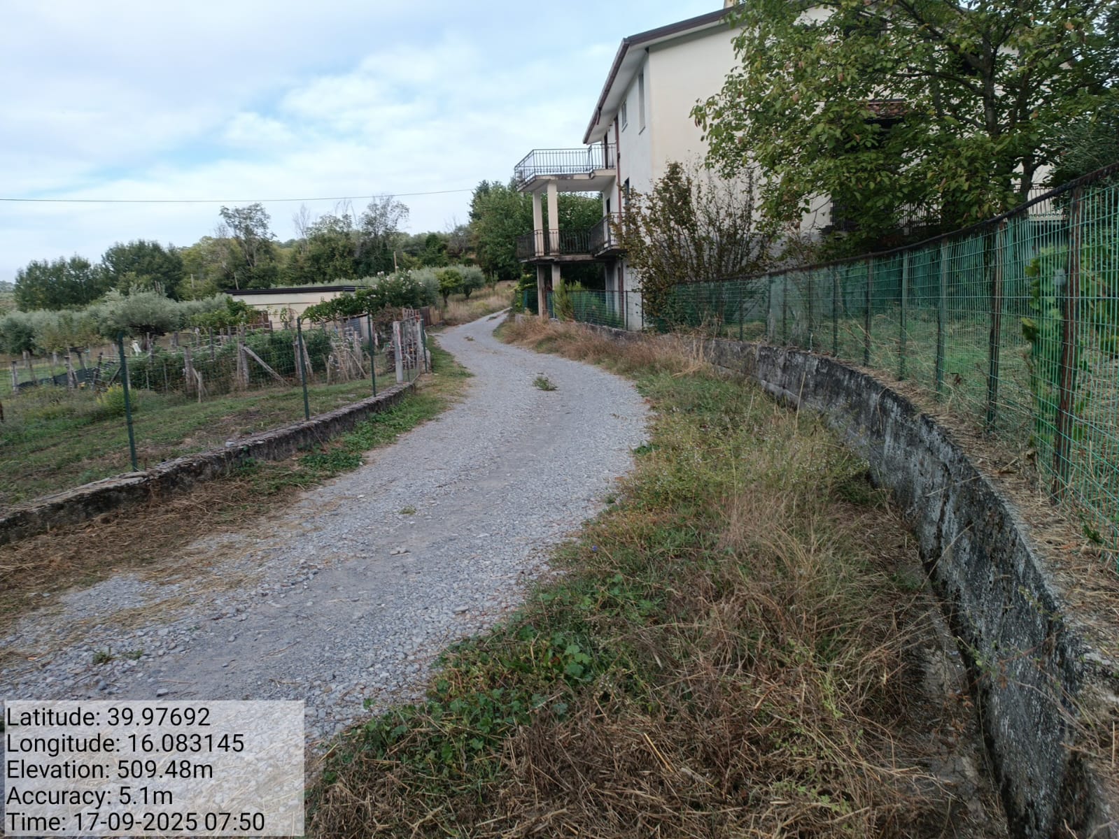 Galleria Fotografica Immagine