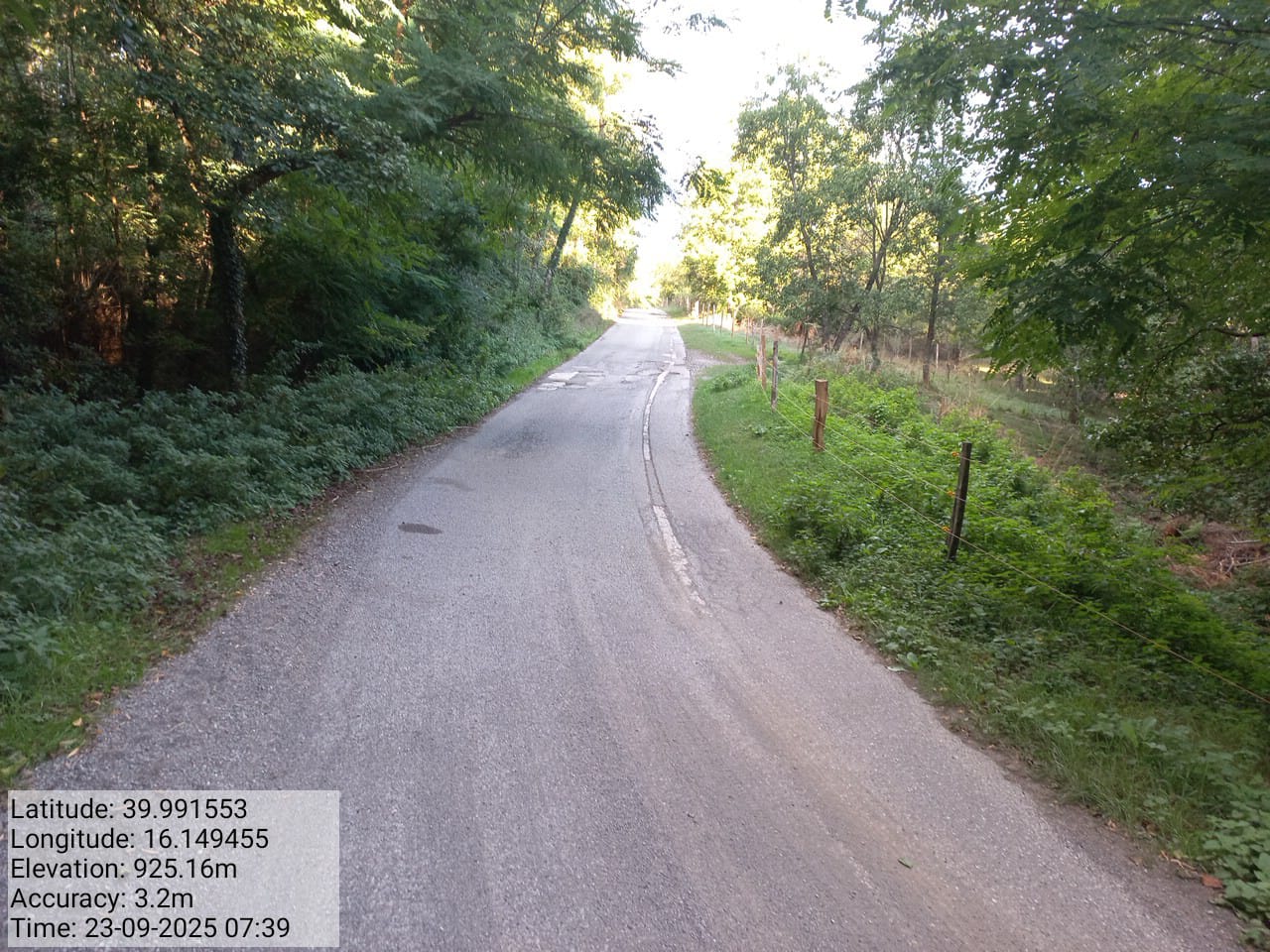 Galleria Fotografica Immagine