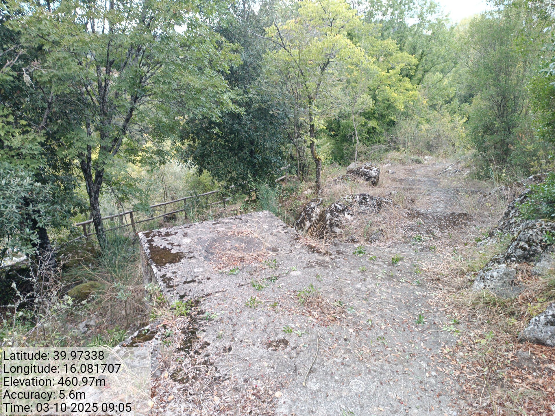 Galleria Fotografica Immagine