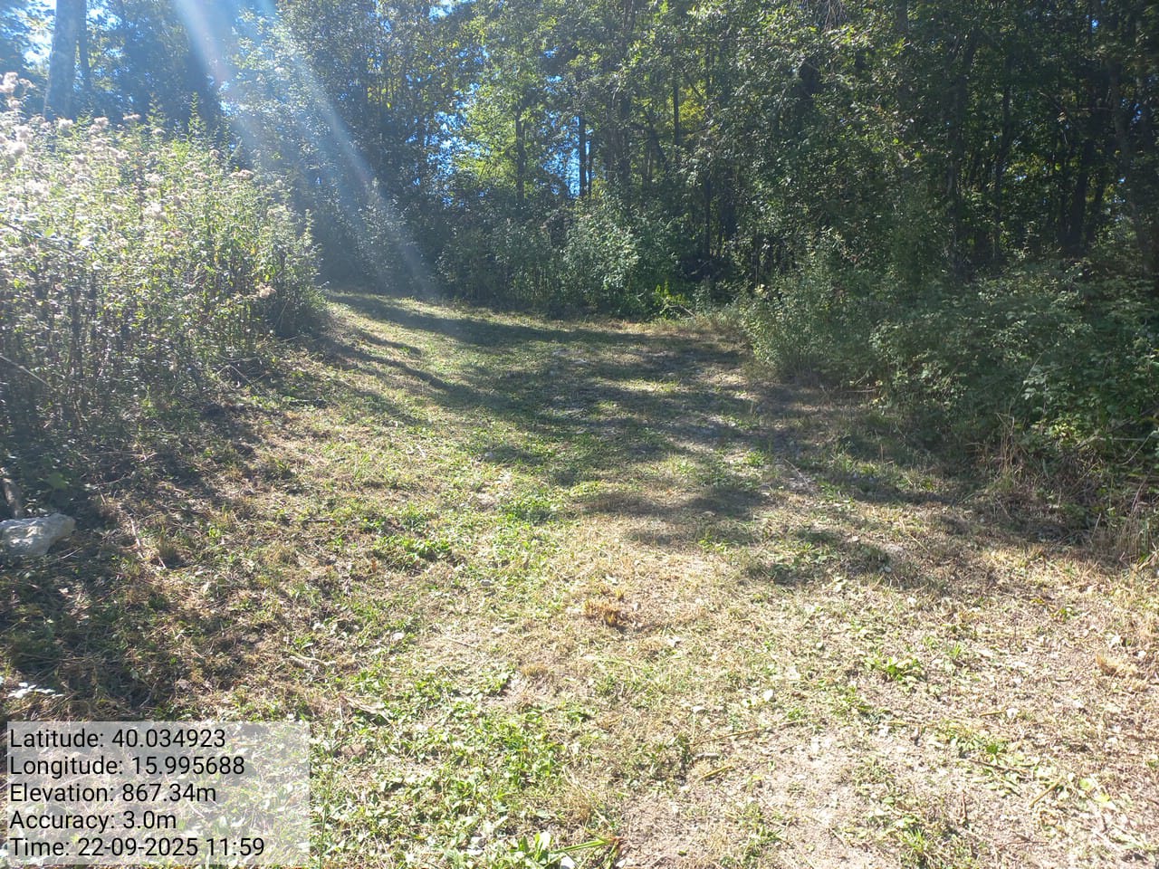 Galleria Fotografica Immagine