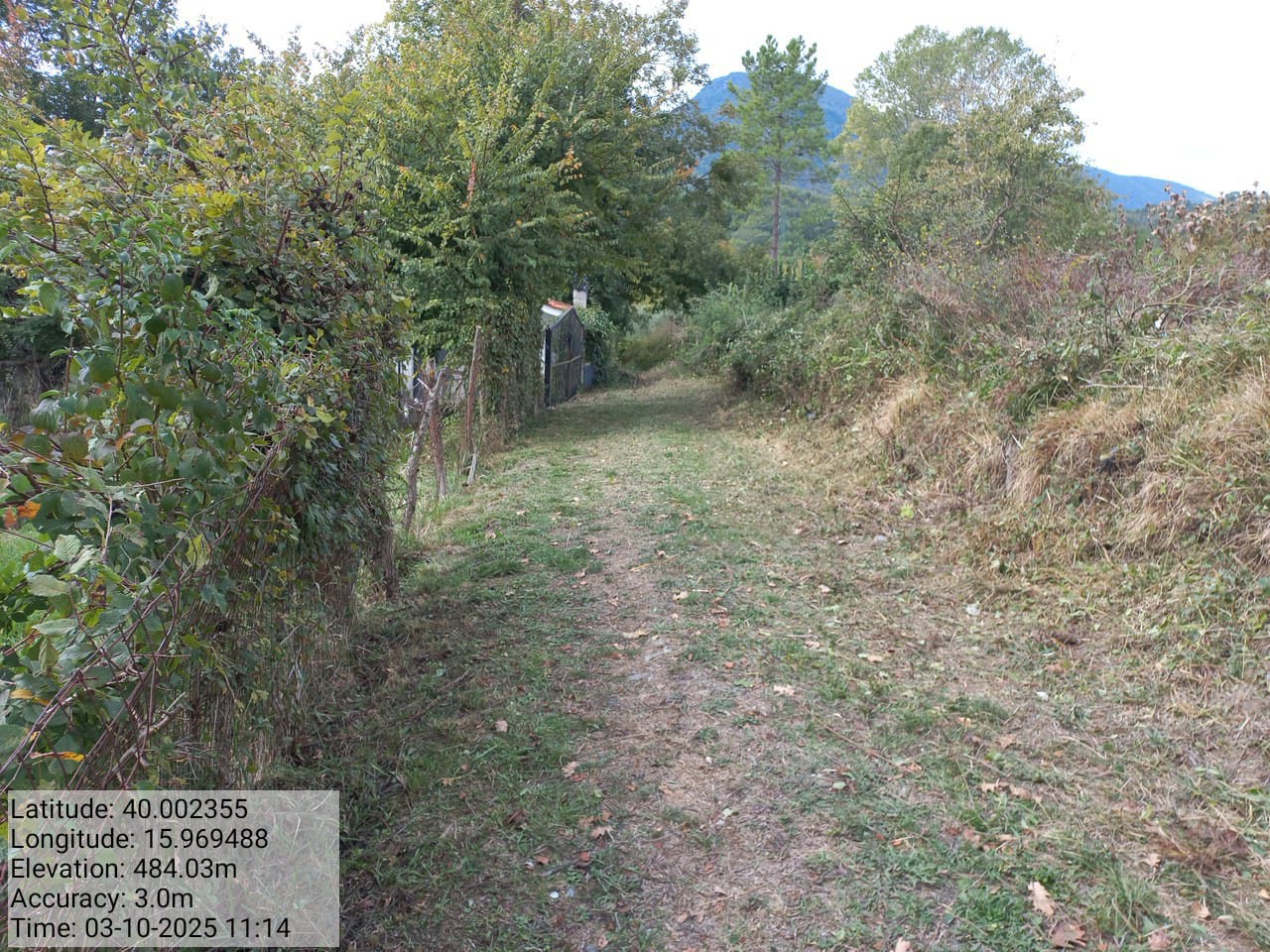 Galleria Fotografica Immagine