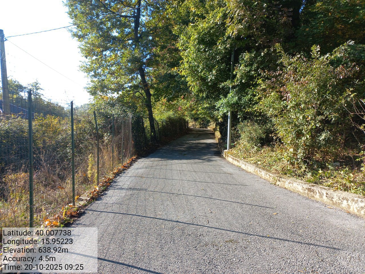 Galleria Fotografica Immagine