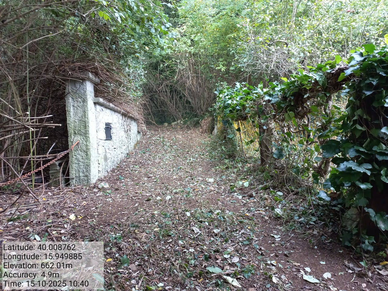 Galleria Fotografica Immagine