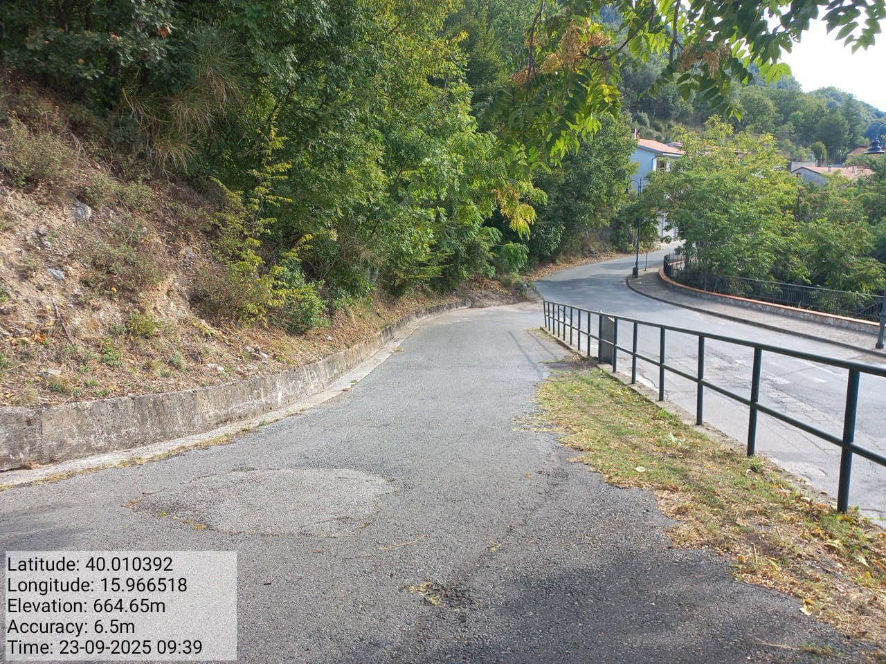 Galleria Fotografica Immagine