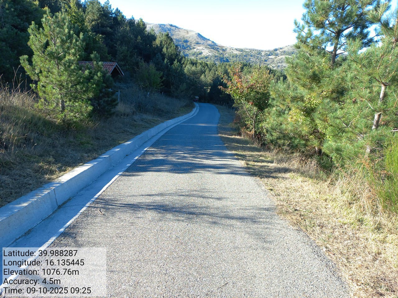 Galleria Fotografica Immagine