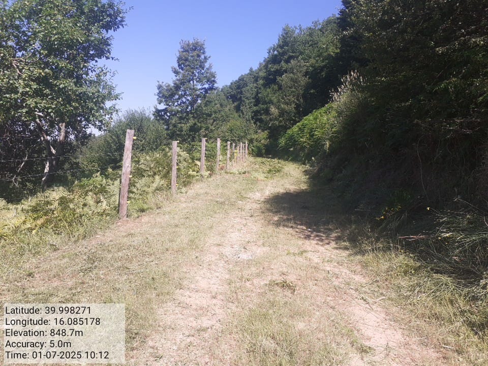 Galleria Fotografica Immagine