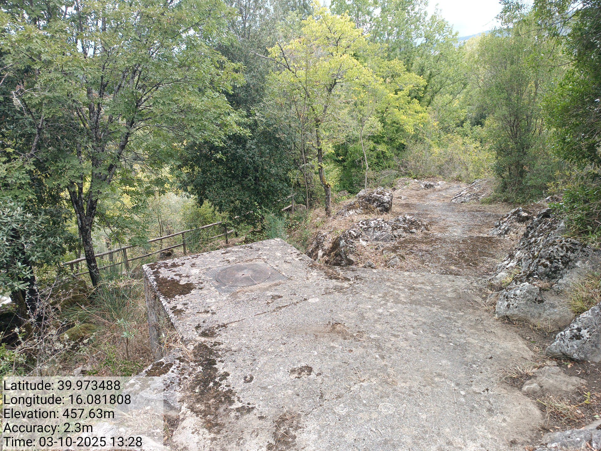 Galleria Fotografica Immagine