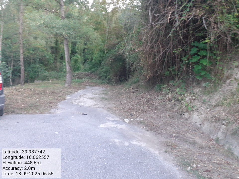 Galleria Fotografica Immagine