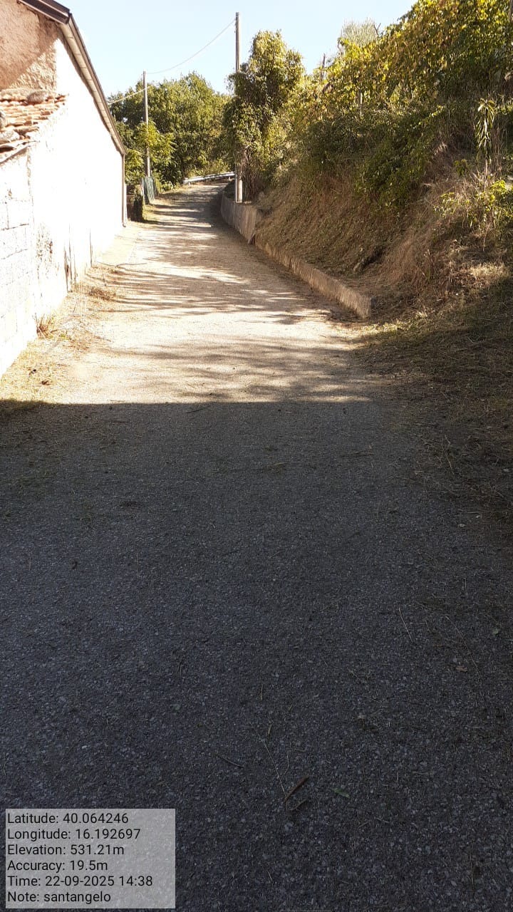 Galleria Fotografica Immagine