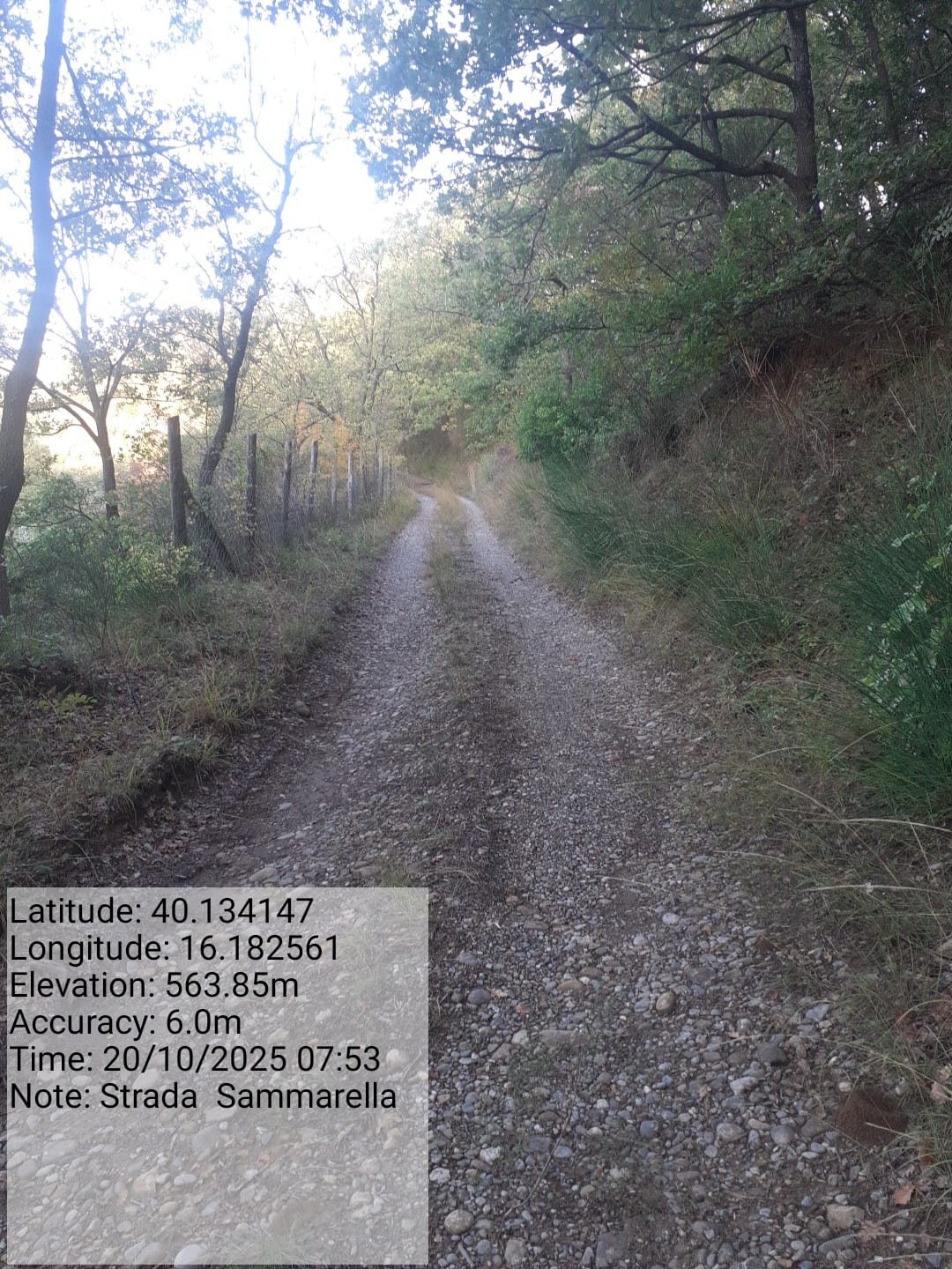 Galleria Fotografica Immagine