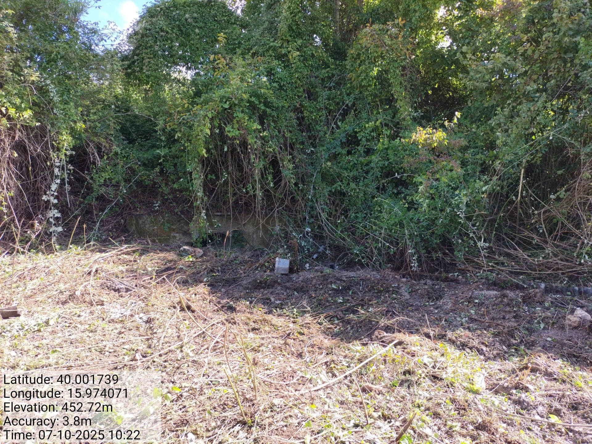 Galleria Fotografica Immagine