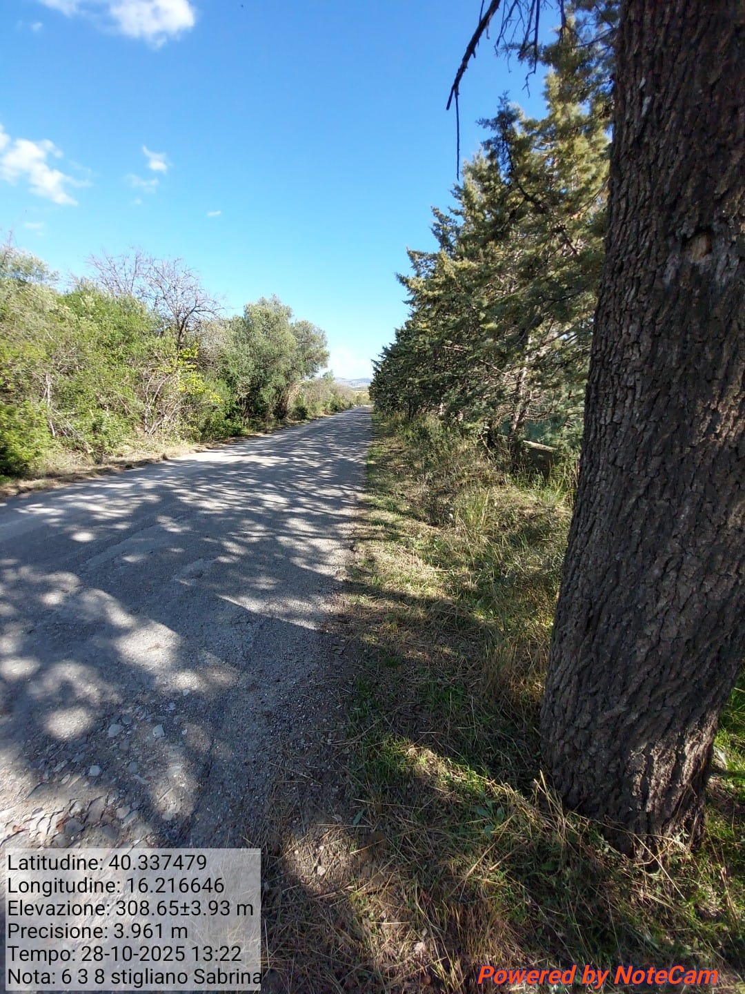 Galleria Fotografica Immagine